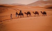 real sahara tours (1)